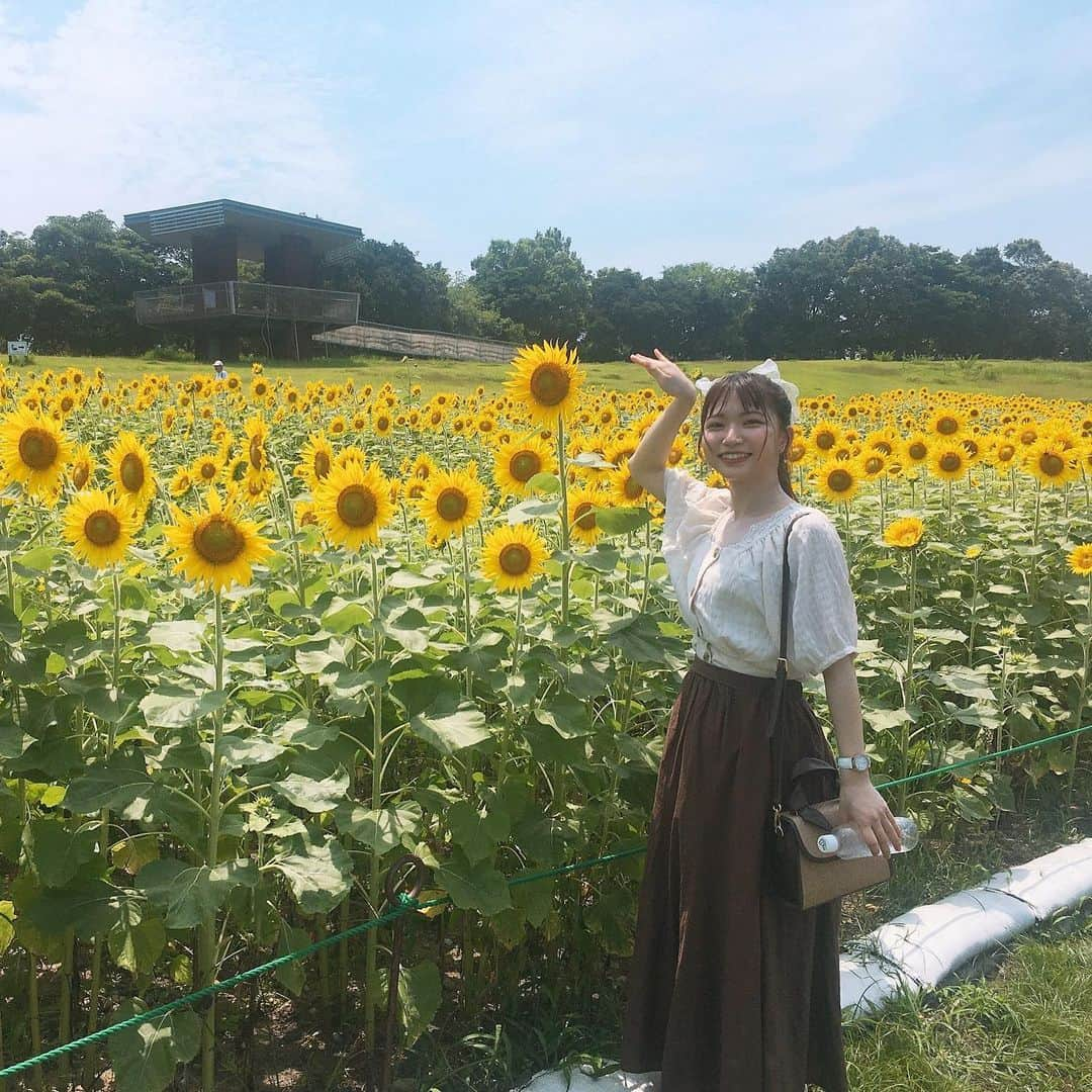 横道侑里さんのインスタグラム写真 - (横道侑里Instagram)「今日はぱぱとガーデンパークに大好きなひまわり見に行ってきました🌻 可愛すぎた❤️✨まだ若くて元気で見頃だったぞーい！ あっつかったけど、癒された…」8月4日 16時24分 - sideroad615