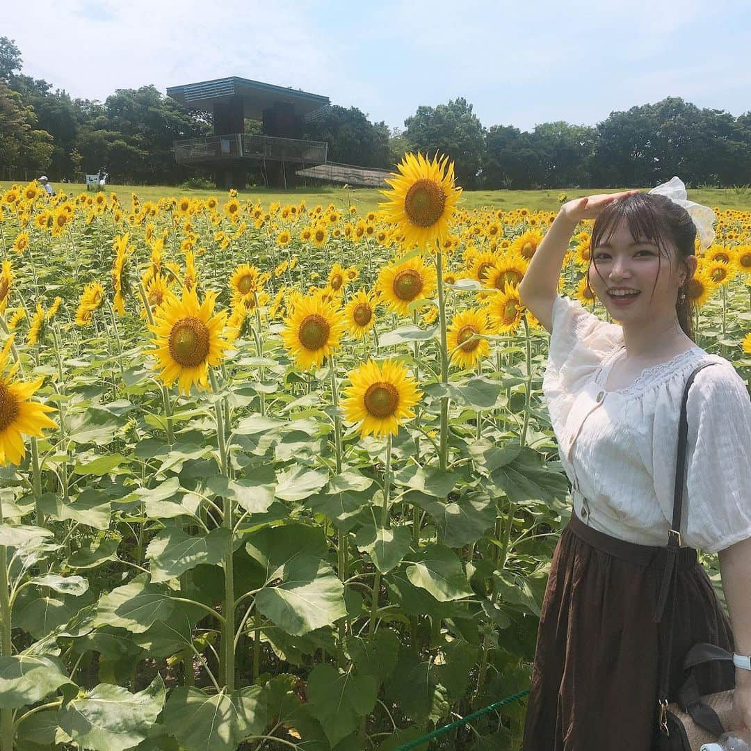 横道侑里さんのインスタグラム写真 - (横道侑里Instagram)「今日はぱぱとガーデンパークに大好きなひまわり見に行ってきました🌻 可愛すぎた❤️✨まだ若くて元気で見頃だったぞーい！ あっつかったけど、癒された…」8月4日 16時24分 - sideroad615