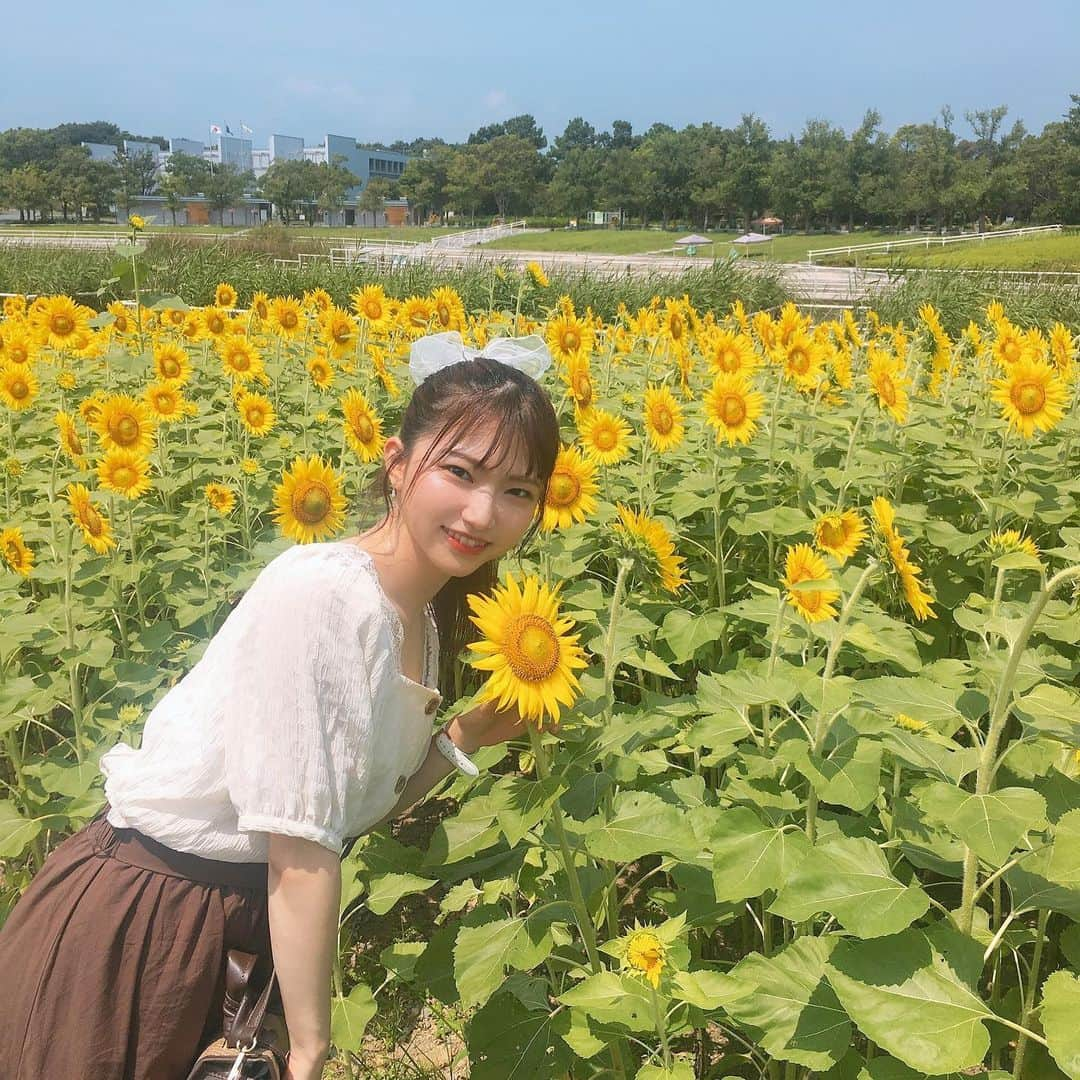 横道侑里さんのインスタグラム写真 - (横道侑里Instagram)「今日はぱぱとガーデンパークに大好きなひまわり見に行ってきました🌻 可愛すぎた❤️✨まだ若くて元気で見頃だったぞーい！ あっつかったけど、癒された…」8月4日 16時24分 - sideroad615