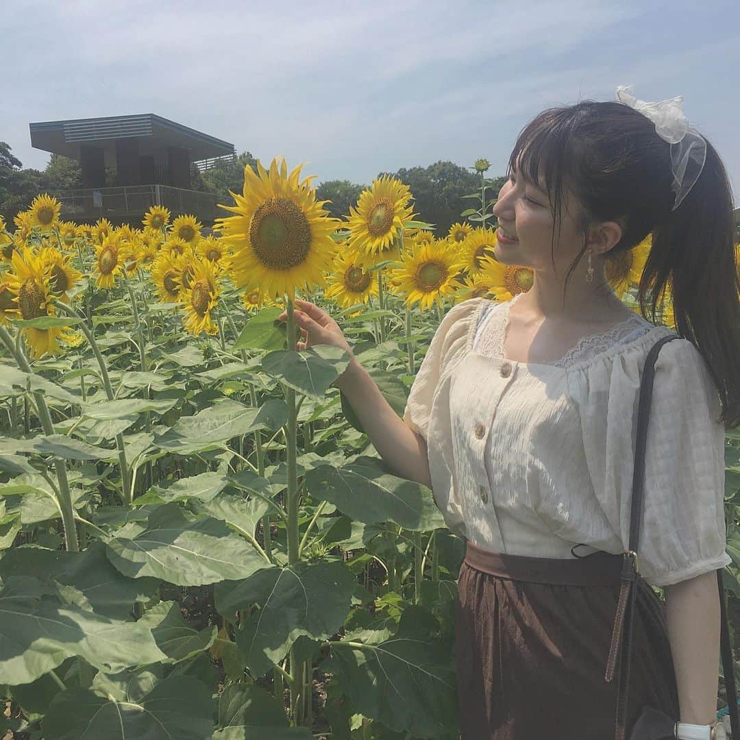 横道侑里のインスタグラム：「今日はぱぱとガーデンパークに大好きなひまわり見に行ってきました🌻 可愛すぎた❤️✨まだ若くて元気で見頃だったぞーい！ あっつかったけど、癒された…」
