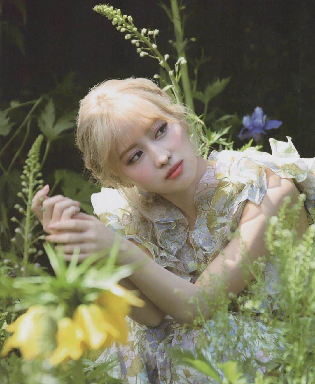 モモさんのインスタグラム写真 - (モモInstagram)「♡ [Scans] 200803 - MORE & MORE Monograph Scans -  #트와이스 #모모 #平井もも #もも #TWICE ©️oncebrasil」8月4日 16時28分 - momojype