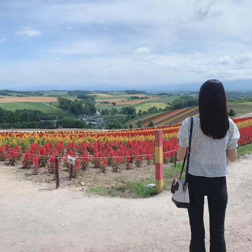 檜山奈南果さんのインスタグラム写真 - (檜山奈南果Instagram)「. 夏休みが始まったので家族で行ってきました🕊 北海道に住んでるけど行ったことなかったので綺麗で感動しました🤍 . #instagood#instalike#l4l #青い池#四季彩の丘#北海道」8月4日 16時37分 - nanaka_hiyama_official