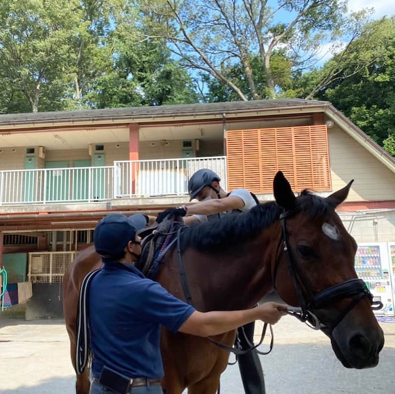 市川海老蔵 （11代目）さんのインスタグラム写真 - (市川海老蔵 （11代目）Instagram)「Horse back riding. Need to ride sometimes to keep it up.  Riding on Tamamo Rush-san. Thank you buddy💕  Just 30 minutes, but it uses a lot of muscles on my legs. Wanted to ride much longer. * お馬さんです。 乗っておかないと 乗れなくなるという 感じですね。  タマモラッシュさんに 跨ります。 よろしくね💕  わずか３０分、 でも 結構 足にきます。 まだまだ乗り足りない。  #市川海老蔵 #海老蔵 #成田屋 #歌舞伎 #ABKAI #ABMORI #ebizoichikawa #ebizo #kabuki #thunderparty #ebizotv #theater #theaterarts #actor #japan #classic」8月4日 16時37分 - ebizoichikawa.ebizoichikawa