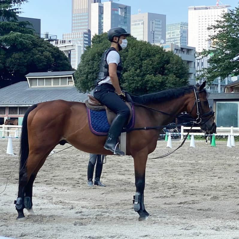 市川海老蔵 （11代目）さんのインスタグラム写真 - (市川海老蔵 （11代目）Instagram)「Horse back riding. Need to ride sometimes to keep it up.  Riding on Tamamo Rush-san. Thank you buddy💕  Just 30 minutes, but it uses a lot of muscles on my legs. Wanted to ride much longer. * お馬さんです。 乗っておかないと 乗れなくなるという 感じですね。  タマモラッシュさんに 跨ります。 よろしくね💕  わずか３０分、 でも 結構 足にきます。 まだまだ乗り足りない。  #市川海老蔵 #海老蔵 #成田屋 #歌舞伎 #ABKAI #ABMORI #ebizoichikawa #ebizo #kabuki #thunderparty #ebizotv #theater #theaterarts #actor #japan #classic」8月4日 16時37分 - ebizoichikawa.ebizoichikawa