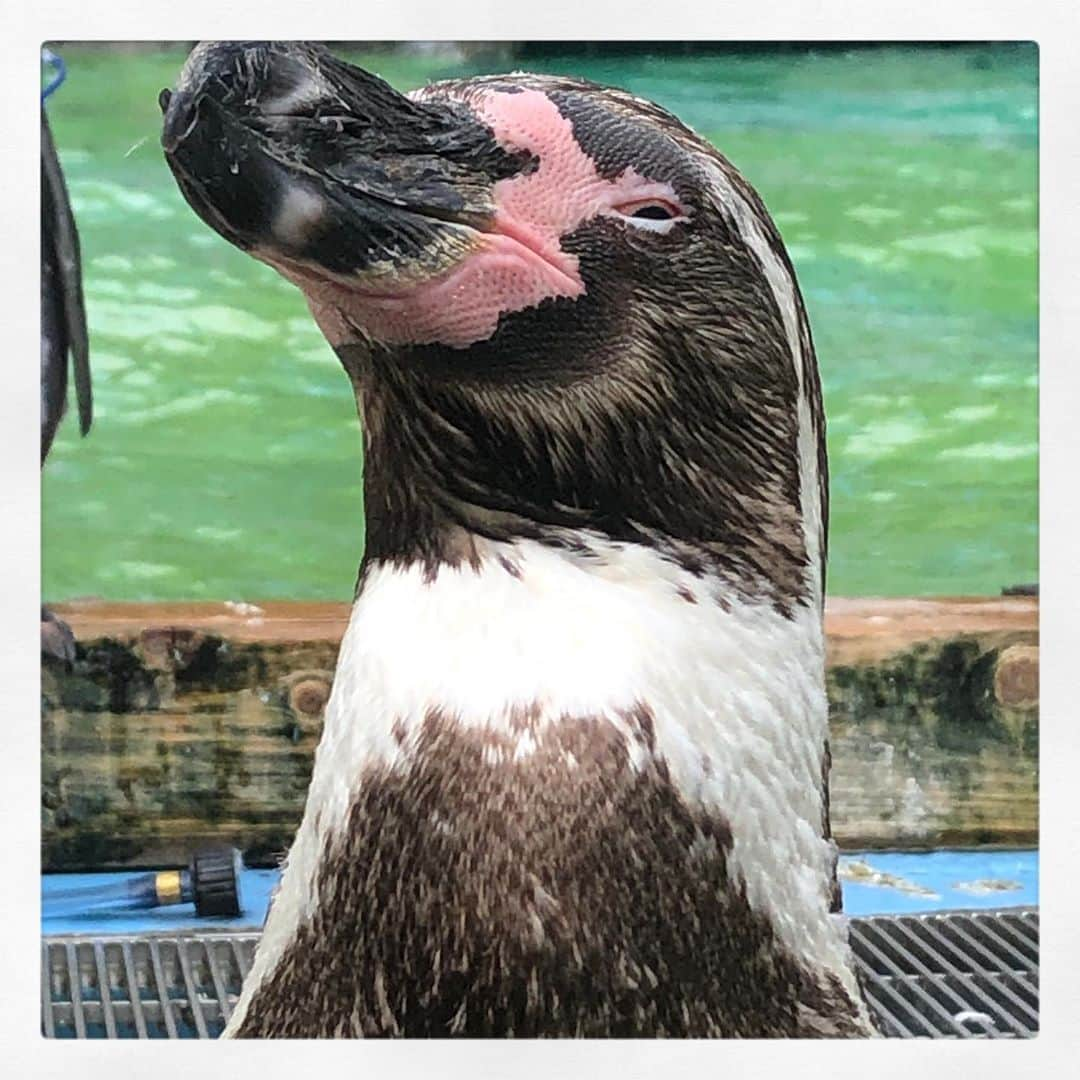 星野真里のインスタグラム