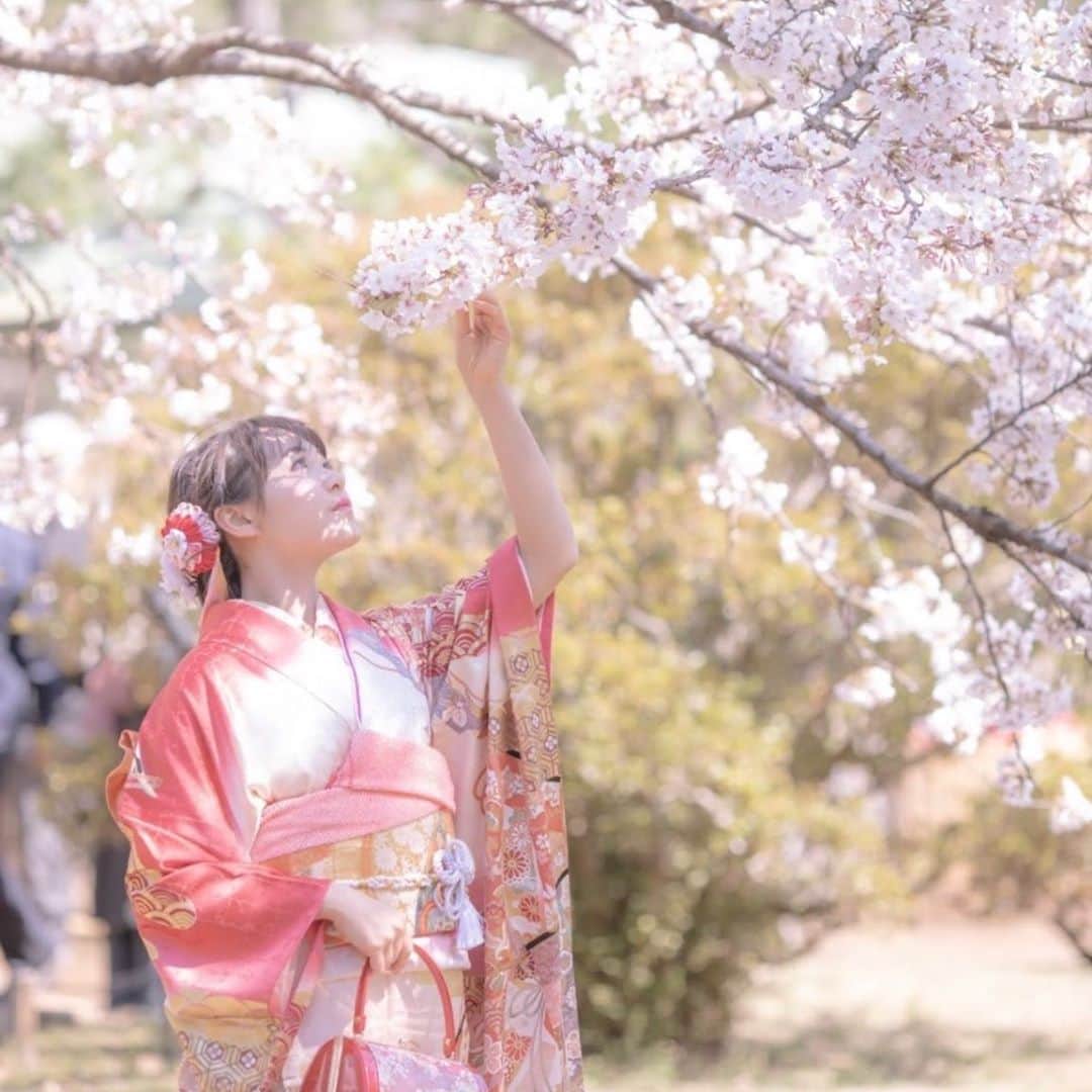 藤本りの加のインスタグラム：「今日は成人式の写真を大学近くにある六義園で撮影したものを投稿します🌸 ・ 天気が良く、風が強かったのでママネ(母)が何度も前髪を直しに来ました😂 ・ camera: @c_o_t_t_o_n_e_y_e  ・ 素敵な写真をありがとうございます🌱 ・ #ミスコン #ミスミスター東洋2020 #東洋大学 #六義園 #成人式 #大学生 #撮影 #一眼 #東京 #instagood #likeforlikes #likeforfollow #instagram #japan #cherryblossom」