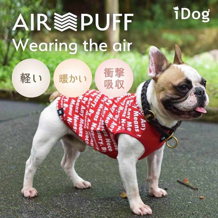 iDog&iCatさんのインスタグラム写真 - (iDog&iCatInstagram)「IDOG&ICAT 2020AW 新機能についての動画をYouTubeにて公開致しました！  軽くて暖かくてボリューミーな新素材「AIR PUFF」 空気の層が愛犬を柔らかく包みます。 https://youtu.be/Y_16uUiFs8w  魔法瓶効果でじんわりしっかり保温「WARM REACT」 高機能で軽くてあたたかい。 https://youtu.be/EFr_K2NEUMA  ストーリーからもリンクに飛べます✈  #idogicat #idog #新作 #新機能 #秋冬 #あったか #あったかウェア」8月4日 17時36分 - idogicat
