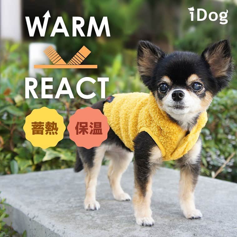 iDog&iCatさんのインスタグラム写真 - (iDog&iCatInstagram)「IDOG&ICAT 2020AW 新機能についての動画をYouTubeにて公開致しました！  軽くて暖かくてボリューミーな新素材「AIR PUFF」 空気の層が愛犬を柔らかく包みます。 https://youtu.be/Y_16uUiFs8w  魔法瓶効果でじんわりしっかり保温「WARM REACT」 高機能で軽くてあたたかい。 https://youtu.be/EFr_K2NEUMA  ストーリーからもリンクに飛べます✈  #idogicat #idog #新作 #新機能 #秋冬 #あったか #あったかウェア」8月4日 17時36分 - idogicat
