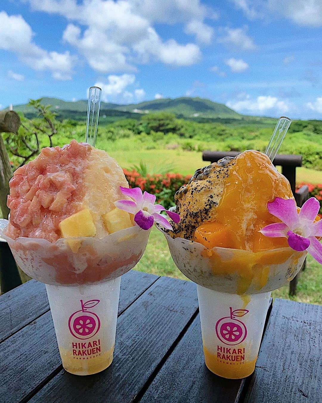 草野春香のグルメインスタ