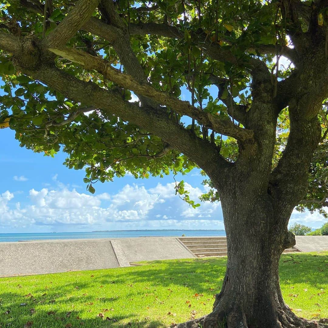 大阪ウシ子のグルメインスタ