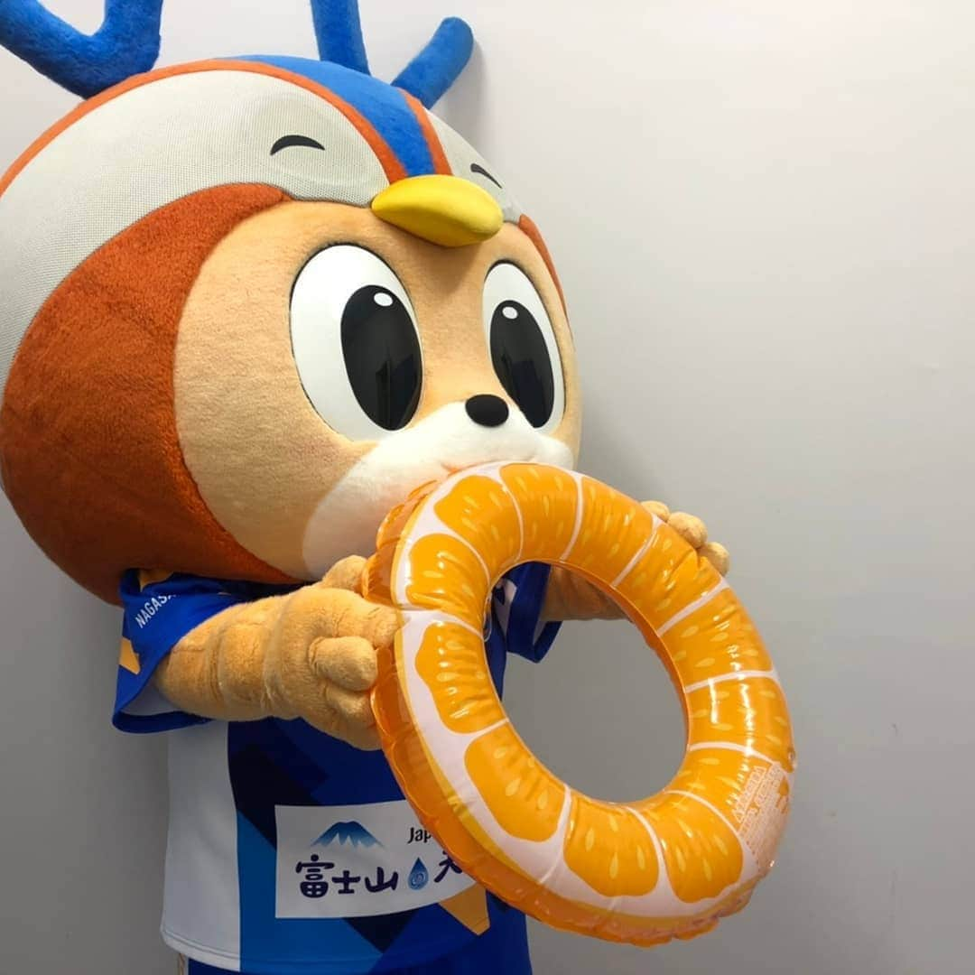 ヴィヴィくんさんのインスタグラム写真 - (ヴィヴィくんInstagram)「ライオンさん👑﻿ ﻿ ドーナツ🍩もぐもぐっ﻿ ﻿ まくら💤﻿ ﻿ てんしさん👼﻿ ﻿ みんなでプール‼たのしいね🐥🐥🎶﻿ ﻿ このうきわ、ぼくにはちいさかったです…😭﻿ ﻿ ﻿ ﻿ #vvaren #vファーレン #vファーレン長崎 #長崎 #ヴィヴィくん #東京ヴェルディ せん #うきわ #なつですね 🌊☀️🍉」8月4日 18時30分 - vivikun_vvn