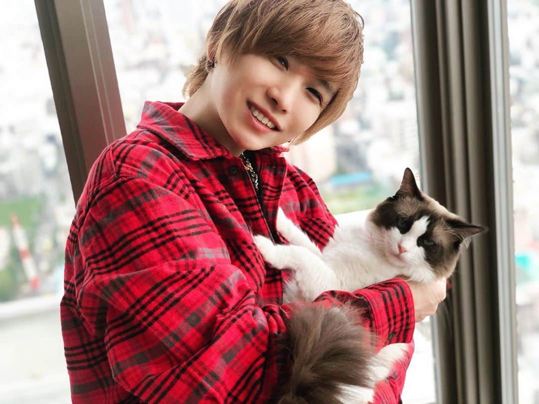 タケヤキ翔さんのインスタグラム写真 - (タケヤキ翔Instagram)「完全に抱っこ嫌がられてる。うちの愛猫。」8月4日 18時41分 - takeyakisyou