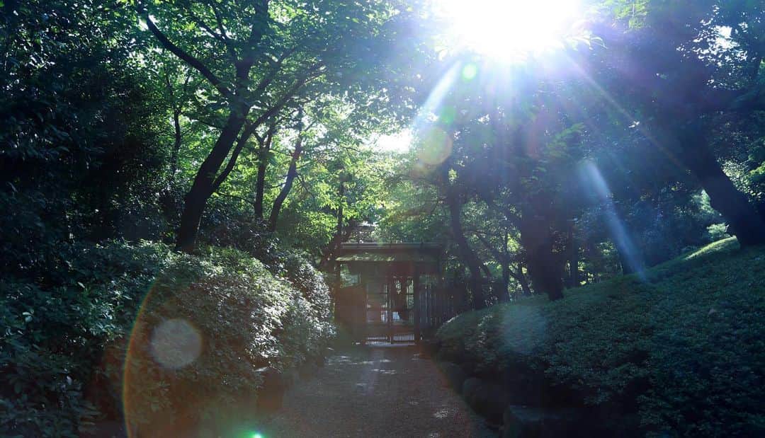 八芳園さんのインスタグラム写真 - (八芳園Instagram)「. . 夏の木漏れ日のなか 日本庭園で過ごすひとときを🍃 . . 梅雨明けが発表され、 青空の下にさらりとした風が吹き抜ける東京。 . 八芳園の庭園にも 夏らしい心地よい風が吹き始めました。 . 涼やかな木陰に響き渡る蝉の声。 . 午後になり陽が傾き始めると、 美しさを増すのは池に反射した木漏れ日。 . 夏の緑や空の色を吸い込んで、 揺らめきながら反射し 印象派絵画のように美しい瞬間を描き出します。 . 都心に居ながらも 開放的な自然を感じられる贅沢なひととき。 . 夏の思い出を、ぜひ八芳園で。 . .   #八芳園 #結婚式 #結婚式場 #生涯式場 #ウェディング . #日本庭園 #自然 #庭園 #夏 #夏休み #なつやすみ #都心 #港区 #白金台 #東京観光  . #newnormal  #newnormalwedding  #ニューノーマル #和装結婚式 . #花嫁さんと繋がりたい #プレ花嫁 #式場探し #プレ花嫁さんと繋がりたい #ウェディングプランナー . #japan #japanesegarden #happoen #japaneseculture  #tokyotrip」8月4日 18時45分 - happoen