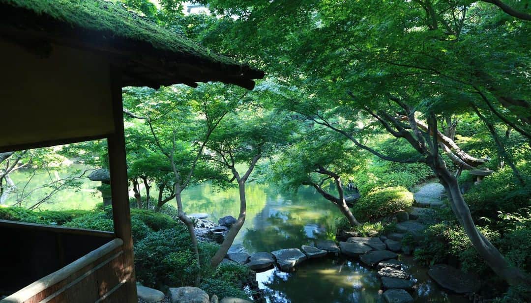 八芳園さんのインスタグラム写真 - (八芳園Instagram)「. . 夏の木漏れ日のなか 日本庭園で過ごすひとときを🍃 . . 梅雨明けが発表され、 青空の下にさらりとした風が吹き抜ける東京。 . 八芳園の庭園にも 夏らしい心地よい風が吹き始めました。 . 涼やかな木陰に響き渡る蝉の声。 . 午後になり陽が傾き始めると、 美しさを増すのは池に反射した木漏れ日。 . 夏の緑や空の色を吸い込んで、 揺らめきながら反射し 印象派絵画のように美しい瞬間を描き出します。 . 都心に居ながらも 開放的な自然を感じられる贅沢なひととき。 . 夏の思い出を、ぜひ八芳園で。 . .   #八芳園 #結婚式 #結婚式場 #生涯式場 #ウェディング . #日本庭園 #自然 #庭園 #夏 #夏休み #なつやすみ #都心 #港区 #白金台 #東京観光  . #newnormal  #newnormalwedding  #ニューノーマル #和装結婚式 . #花嫁さんと繋がりたい #プレ花嫁 #式場探し #プレ花嫁さんと繋がりたい #ウェディングプランナー . #japan #japanesegarden #happoen #japaneseculture  #tokyotrip」8月4日 18時45分 - happoen