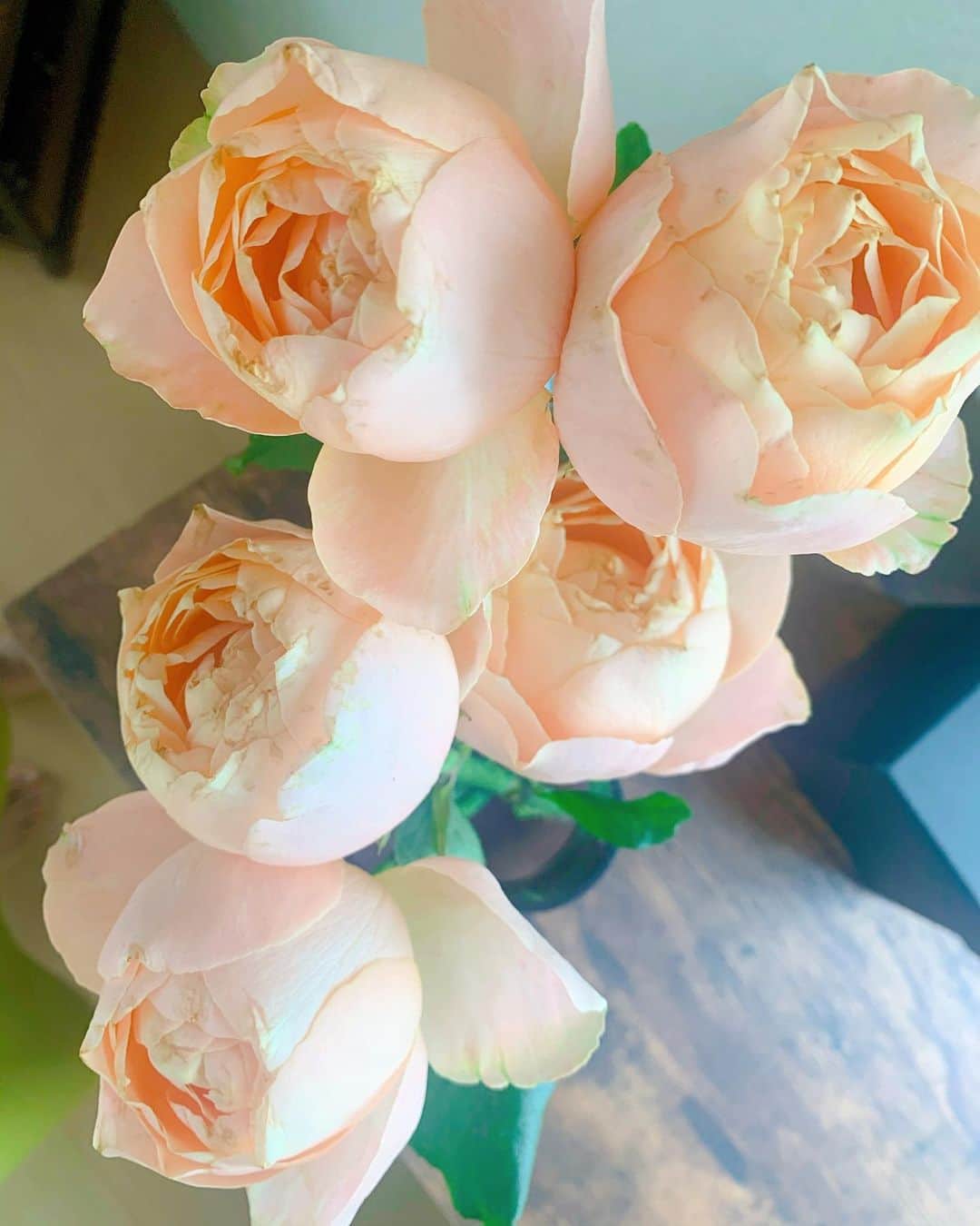 信長ゆかりさんのインスタグラム写真 - (信長ゆかりInstagram)「. 8月startしましたねぇ🥰 皆さん暑さにバテてないですか？(o^^o)  こちら、お部屋が一気に華やいでいます💐 #flower#rose#interior  スーパーで見かけて買いました！ なんと200円！間違いなく効用はお値段以上🥰👍  暑さに負けず、ファイティン！💪です🤗」8月4日 19時03分 - 03yu_kari30