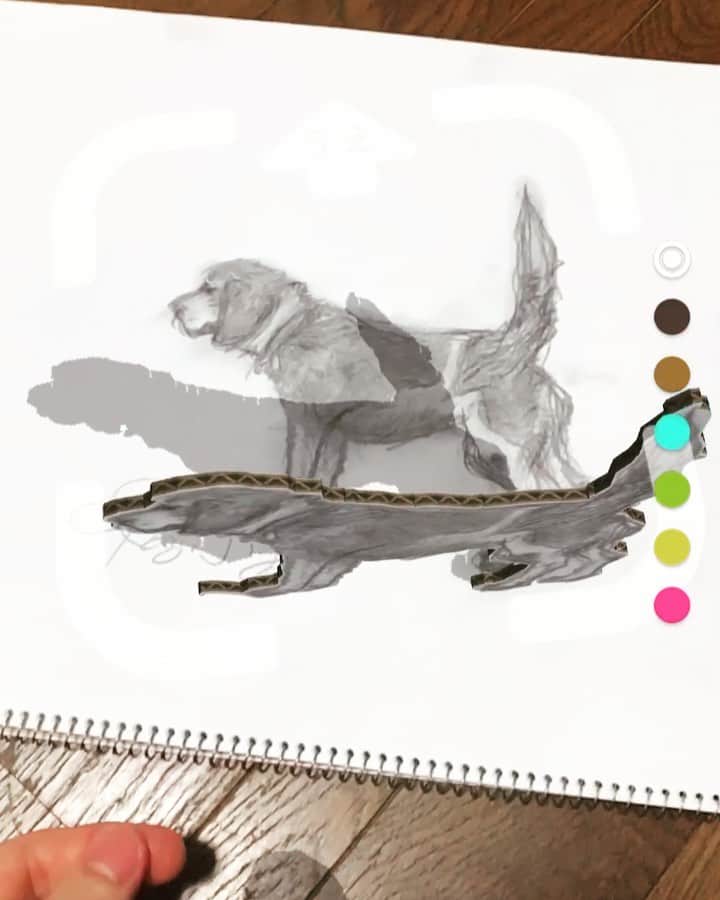 のインスタグラム：「コロナ禍ということで、なかなか実家の犬とも遊べていないので絵に描いて遊んでみた。  1️⃣成功例。すりすりしてきた。 2️⃣失敗例。化け物が誕生した。  ARって、凄い！ #Bentham #beagle #bass #bassist #bassplayer #らくがきar #やっぱり本物に会いたい #🐶」