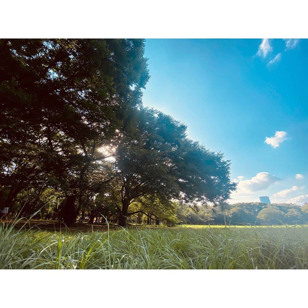 鈴木紗理奈さんのインスタグラム写真 - (鈴木紗理奈Instagram)「今日の天気は海にでも行きたくなる くらいやったね。  リオトの習い事の合間に 公園でごろごろ。  夏が来た。」8月4日 19時18分 - munehirovoice