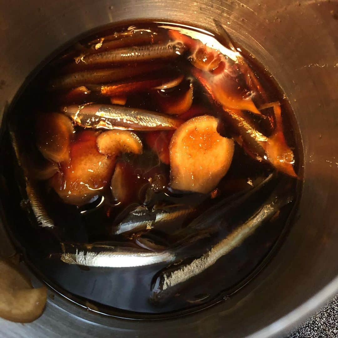 セイン・カミュさんのインスタグラム写真 - (セイン・カミュInstagram)「Today’s catch❣️ Baby sardines❗️ Made Tsukudani/イワシの佃煮❗️😋 #thanecamus #sardines #佃煮 #sardinesinsoysauce #catchoftheday #bonapetit」8月4日 19時26分 - thanecamus