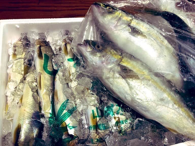 南早苗のグルメインスタ