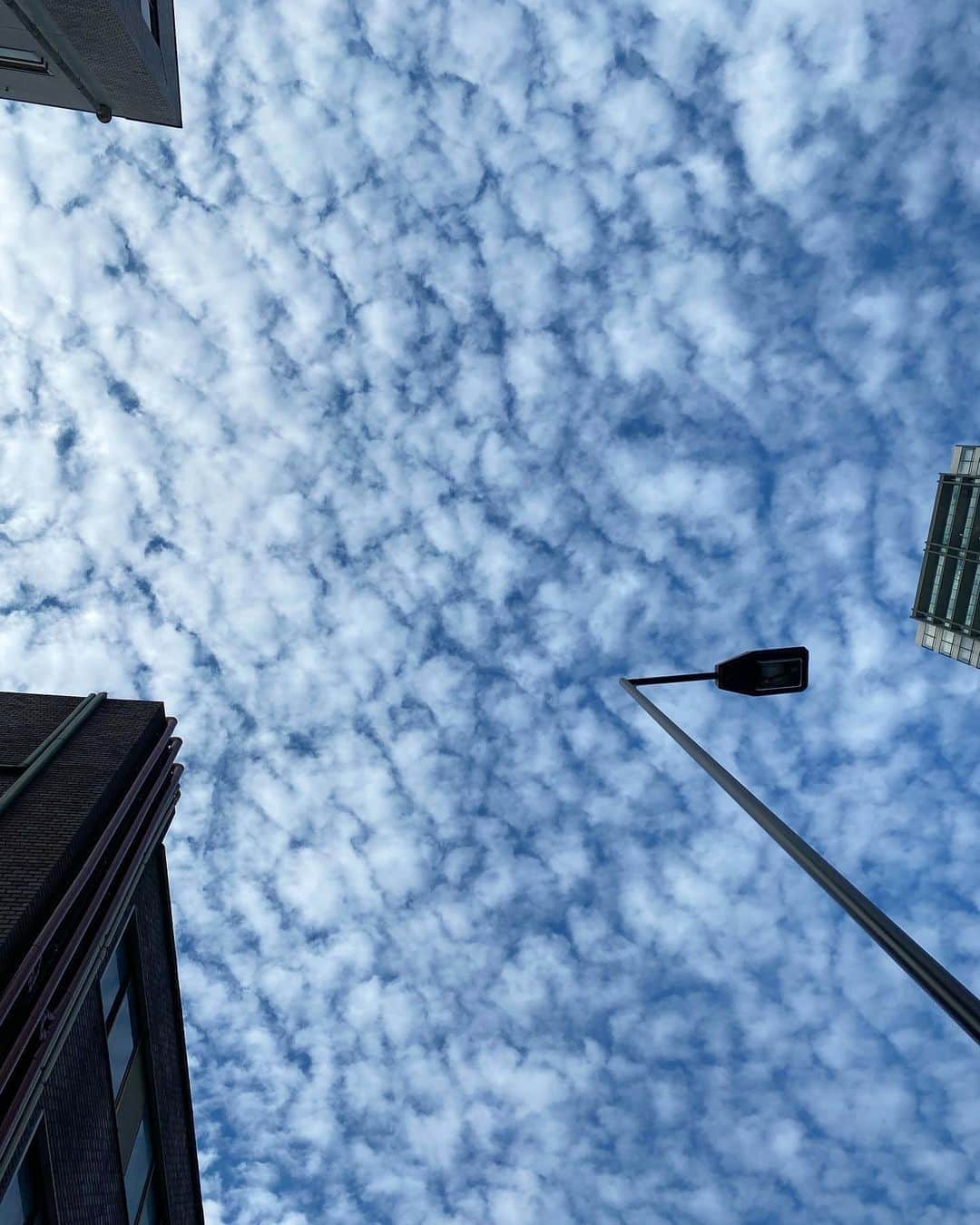 木村沙織さんのインスタグラム写真 - (木村沙織Instagram)「. 今日はすごく空が近い気がした☁️☁️☁️ . . #身長伸びていませんように」8月4日 19時32分 - saoriiiii819