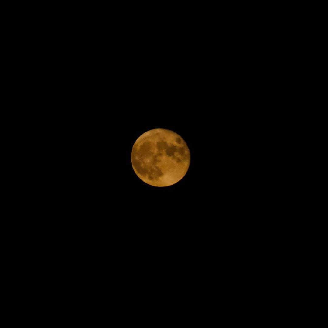 松村太郎のインスタグラム：「赤い月。  #fullmoon #満月 #🌕 #fujifilm_xseries #XT4」