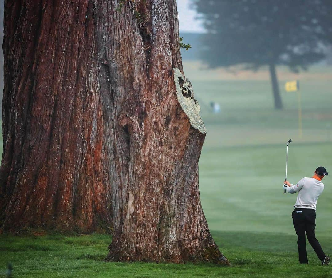 PGA TOURさんのインスタグラム写真 - (PGA TOURInstagram)「The trees at @TPCHardingPark ...🌲😳」8月5日 6時03分 - pgatour