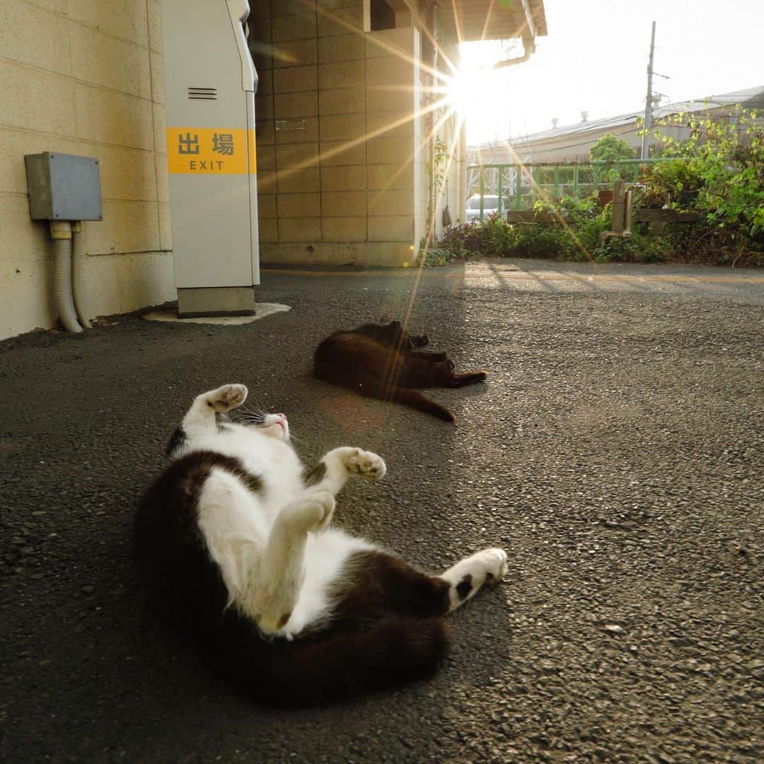 ををつかのインスタグラム