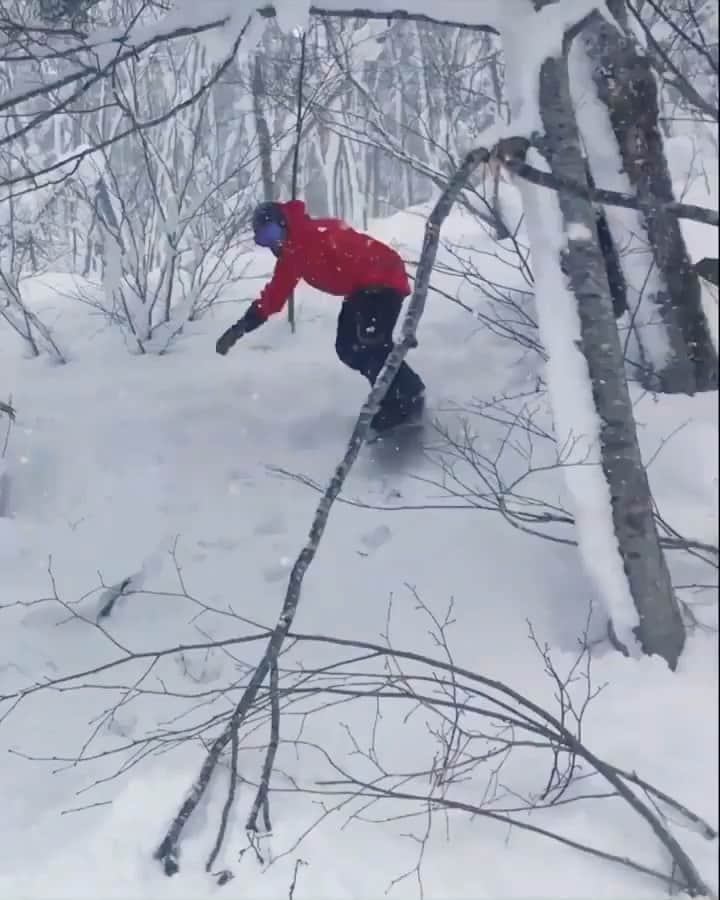 中井孝治のインスタグラム