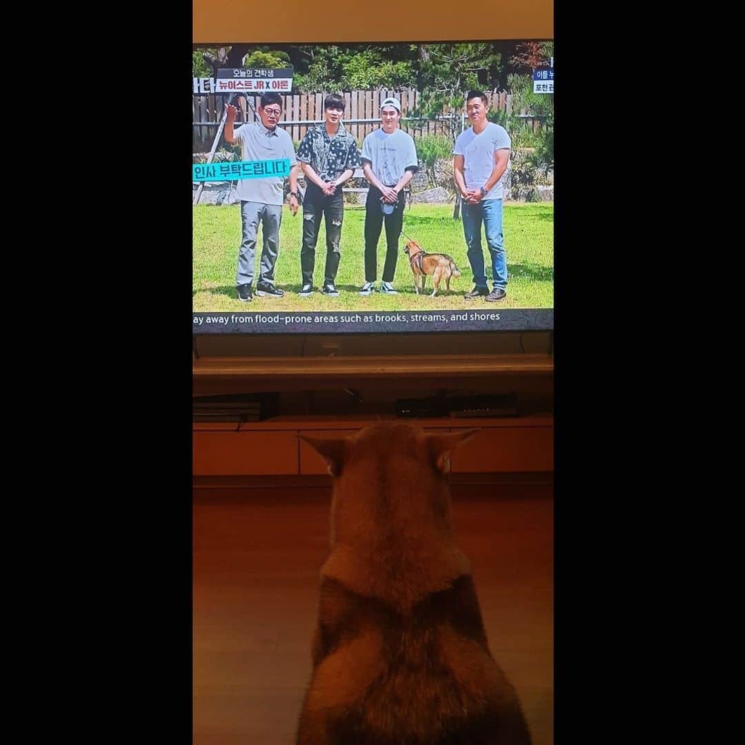 アロン のインスタグラム：「우리 순이 재밌게 봤엉~? 🤘」