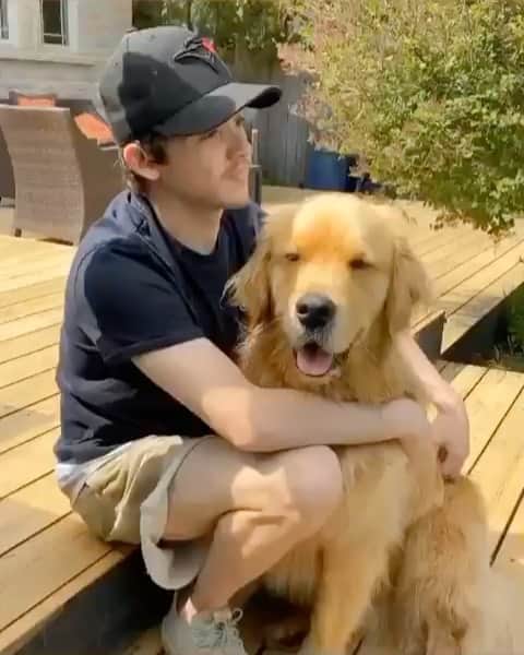 DogsOf Instagramのインスタグラム：「“whenever my bro makes a sudden movement I do too 😃” writes @lifeofsterlingnewton   #dogsofinstagram song: Savage Love by @jenafrumes @jasonderulo」