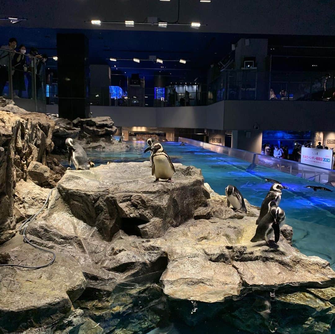 Yukari Imaiさんのインスタグラム写真 - (Yukari ImaiInstagram)「すみだ水族館🐟 魚を見るとジィジ、ジィジというユイトくん🐟 常に消毒を持ち歩き、常に手を顔や口に持っていかないか、見張って大変だけど、ユイトの笑顔が見られるなら、いくらでも消毒もするし、何度でも一緒に手を洗って、予防しながら楽しむよ☺️☺️  手を洗いすぎて、消毒をしすぎてて、本人もすこし潔癖になりつつあるから、すこし心配…  早く普通の世の中に戻らないかなぁ。。 なーんも気にせず、東京のじぃじ、ばぁば、ニューヨークのマイロ、マーニさん、愛知のじぃじ、ばぁば、おぉばぁば、に会いたいね。」8月4日 22時36分 - yukari_magnese