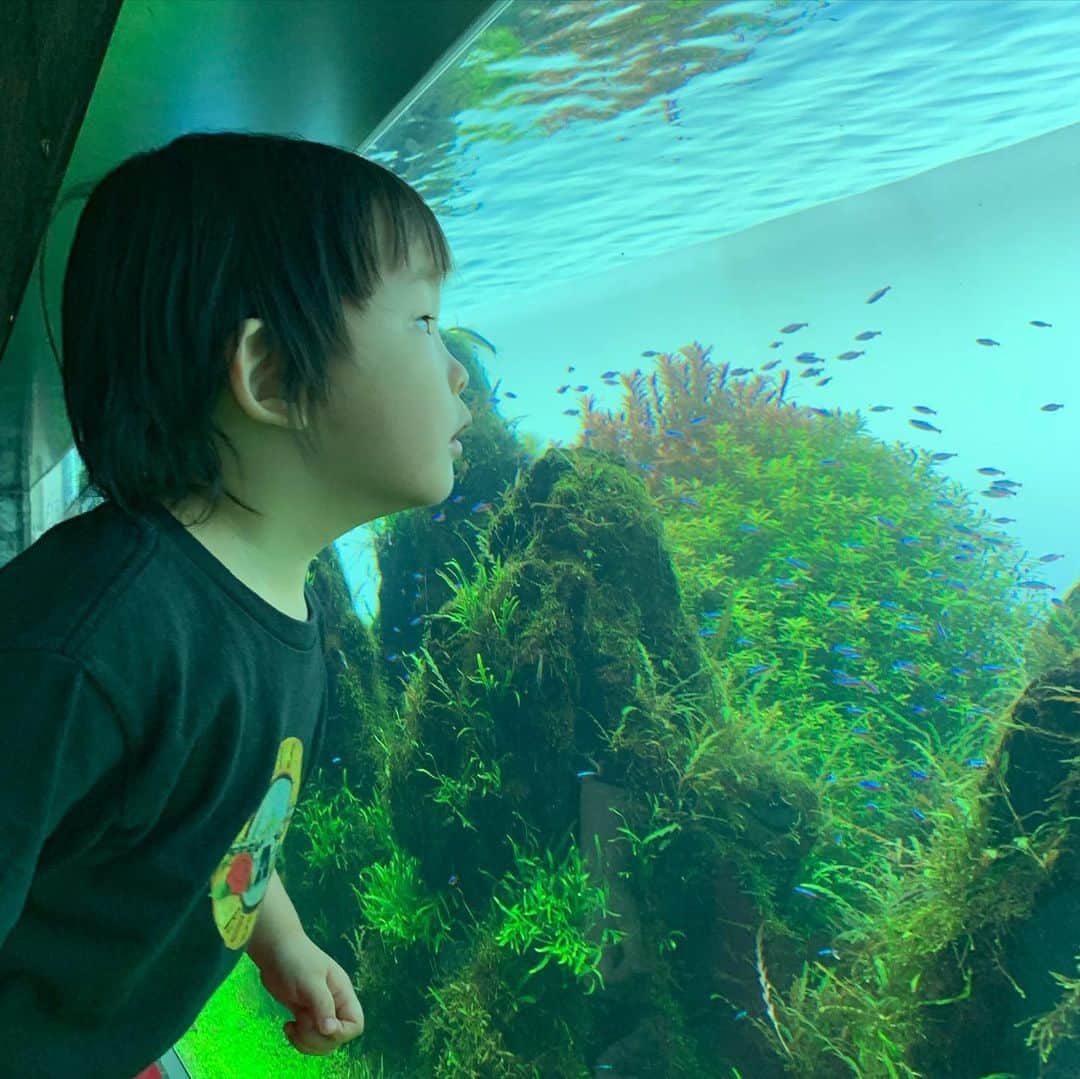 Yukari Imaiさんのインスタグラム写真 - (Yukari ImaiInstagram)「すみだ水族館🐟 魚を見るとジィジ、ジィジというユイトくん🐟 常に消毒を持ち歩き、常に手を顔や口に持っていかないか、見張って大変だけど、ユイトの笑顔が見られるなら、いくらでも消毒もするし、何度でも一緒に手を洗って、予防しながら楽しむよ☺️☺️  手を洗いすぎて、消毒をしすぎてて、本人もすこし潔癖になりつつあるから、すこし心配…  早く普通の世の中に戻らないかなぁ。。 なーんも気にせず、東京のじぃじ、ばぁば、ニューヨークのマイロ、マーニさん、愛知のじぃじ、ばぁば、おぉばぁば、に会いたいね。」8月4日 22時36分 - yukari_magnese