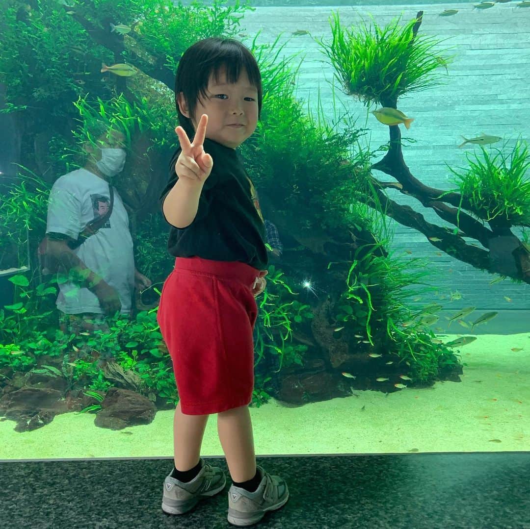 Yukari Imaiさんのインスタグラム写真 - (Yukari ImaiInstagram)「すみだ水族館🐟 魚を見るとジィジ、ジィジというユイトくん🐟 常に消毒を持ち歩き、常に手を顔や口に持っていかないか、見張って大変だけど、ユイトの笑顔が見られるなら、いくらでも消毒もするし、何度でも一緒に手を洗って、予防しながら楽しむよ☺️☺️  手を洗いすぎて、消毒をしすぎてて、本人もすこし潔癖になりつつあるから、すこし心配…  早く普通の世の中に戻らないかなぁ。。 なーんも気にせず、東京のじぃじ、ばぁば、ニューヨークのマイロ、マーニさん、愛知のじぃじ、ばぁば、おぉばぁば、に会いたいね。」8月4日 22時36分 - yukari_magnese
