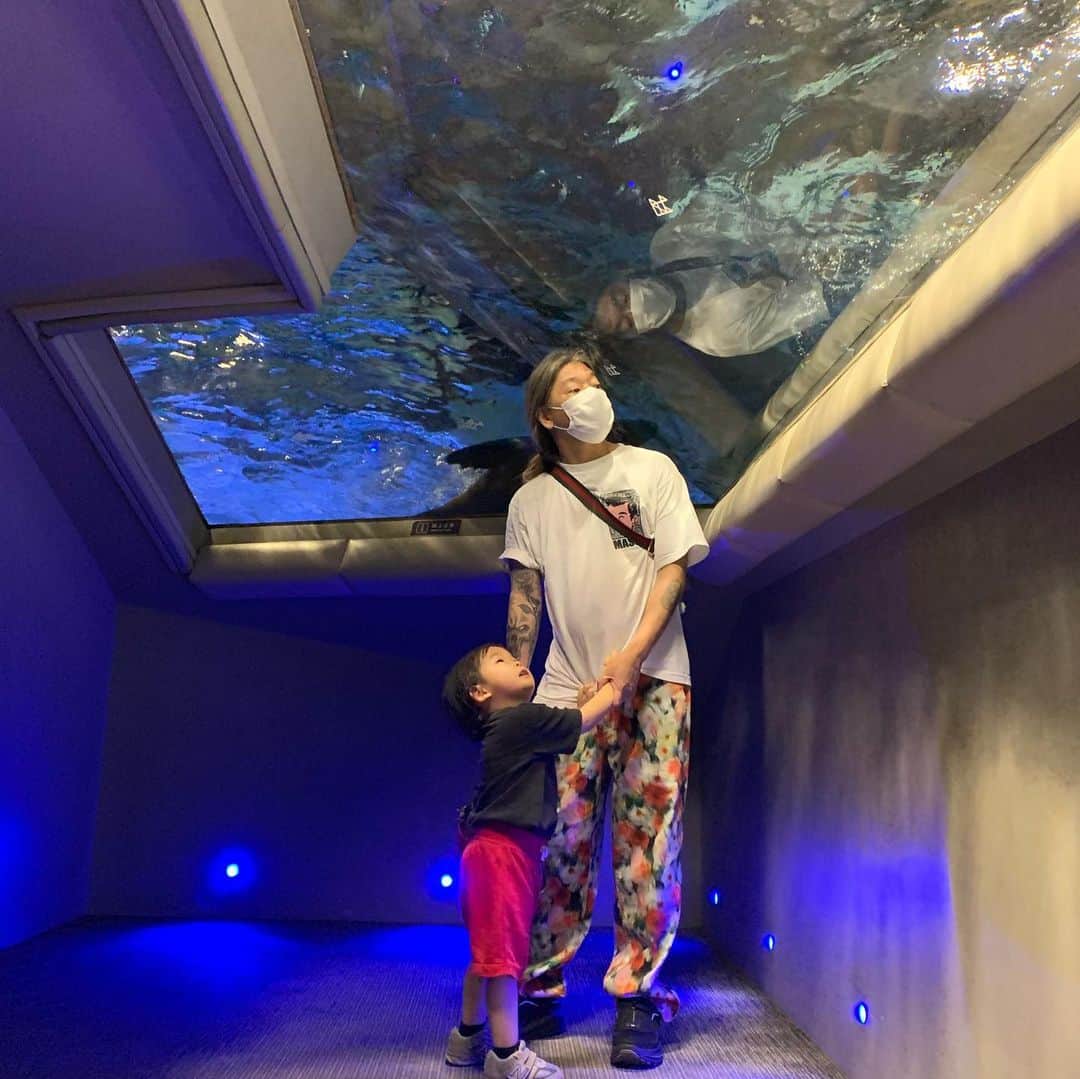 Yukari Imaiさんのインスタグラム写真 - (Yukari ImaiInstagram)「すみだ水族館🐟 魚を見るとジィジ、ジィジというユイトくん🐟 常に消毒を持ち歩き、常に手を顔や口に持っていかないか、見張って大変だけど、ユイトの笑顔が見られるなら、いくらでも消毒もするし、何度でも一緒に手を洗って、予防しながら楽しむよ☺️☺️  手を洗いすぎて、消毒をしすぎてて、本人もすこし潔癖になりつつあるから、すこし心配…  早く普通の世の中に戻らないかなぁ。。 なーんも気にせず、東京のじぃじ、ばぁば、ニューヨークのマイロ、マーニさん、愛知のじぃじ、ばぁば、おぉばぁば、に会いたいね。」8月4日 22時36分 - yukari_magnese