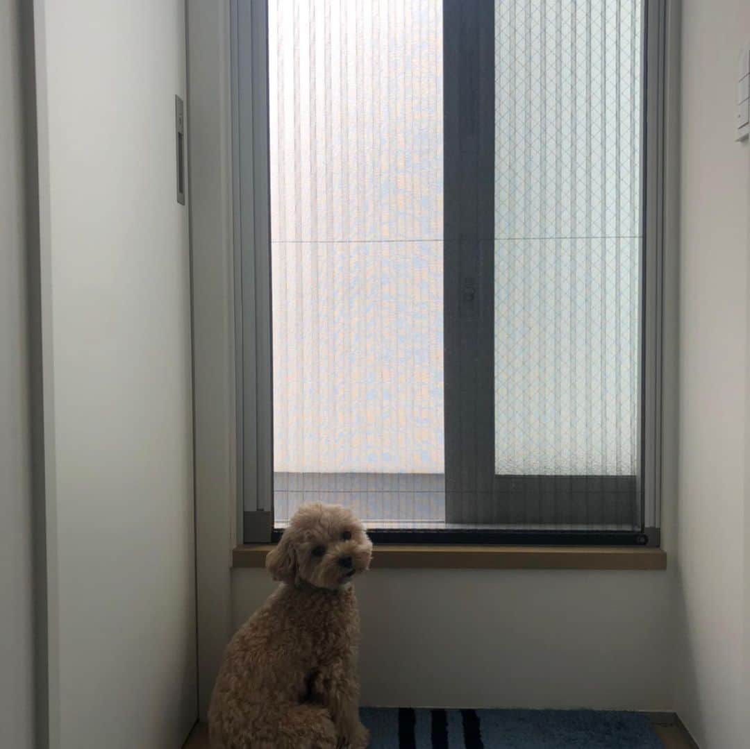 児嶋一哉さんのインスタグラム写真 - (児嶋一哉Instagram)「外と言うか壁ずっと見てる」8月4日 22時36分 - kojikojikoji47