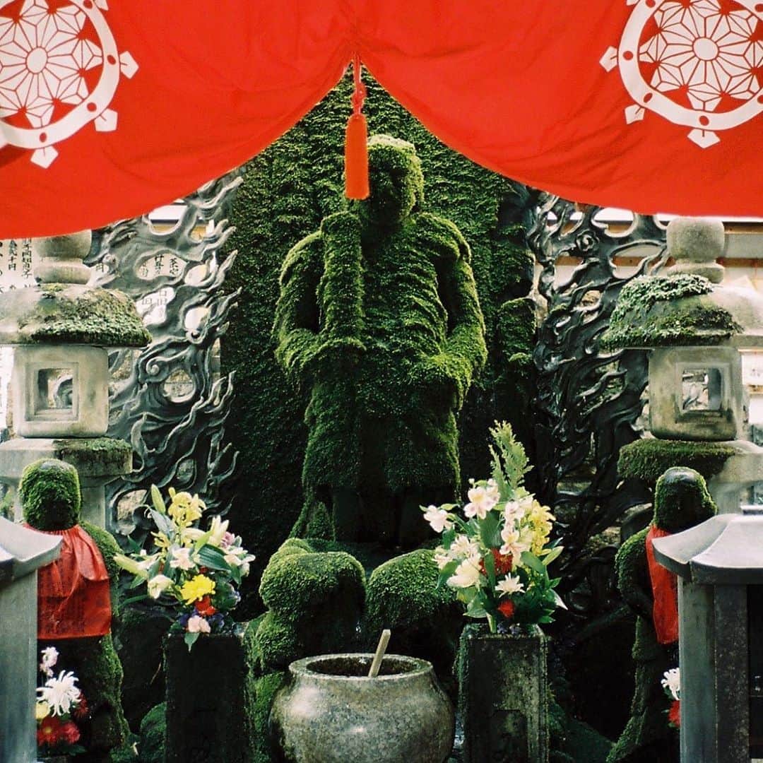 東京DANDYのインスタグラム：「Almost two hundred years ago, a woman presented herself in front of a statue of the Buddhist deity Fudō-myōō at Hozenji temple in Osaka. Unable to offer a coin or gift as a tribute, she tossed water over the statue while making her wish. What that wish was has been lost to time, but it came true. As word got around, local worshippers flocked to throw water over Fudō-myōō in the hopes their prayers would be answered. So much so that over time, moss began to grow. The temple buildings being destroyed during World War 2 bombing raid, but the statue survived and can still be found today down a narrow alley off Dotonbori. So go ahead, make a wish.   #不動明王 #大阪 #Osaka #Fudomyoo #HozenjiTemple #Buddha #Buddhist #Temple #35mm #ContaxT2 #法善寺」