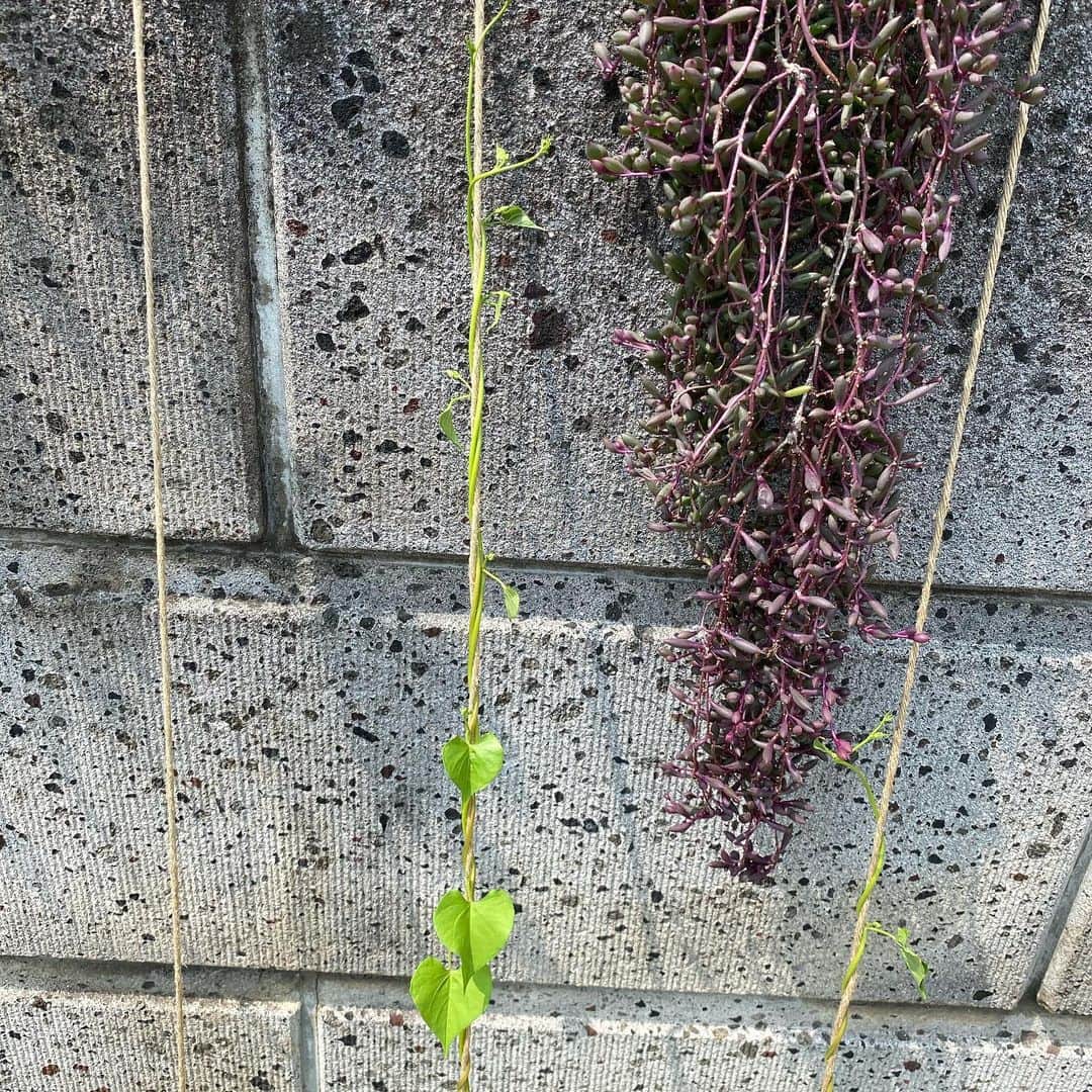 魔女菅原のグルメインスタ