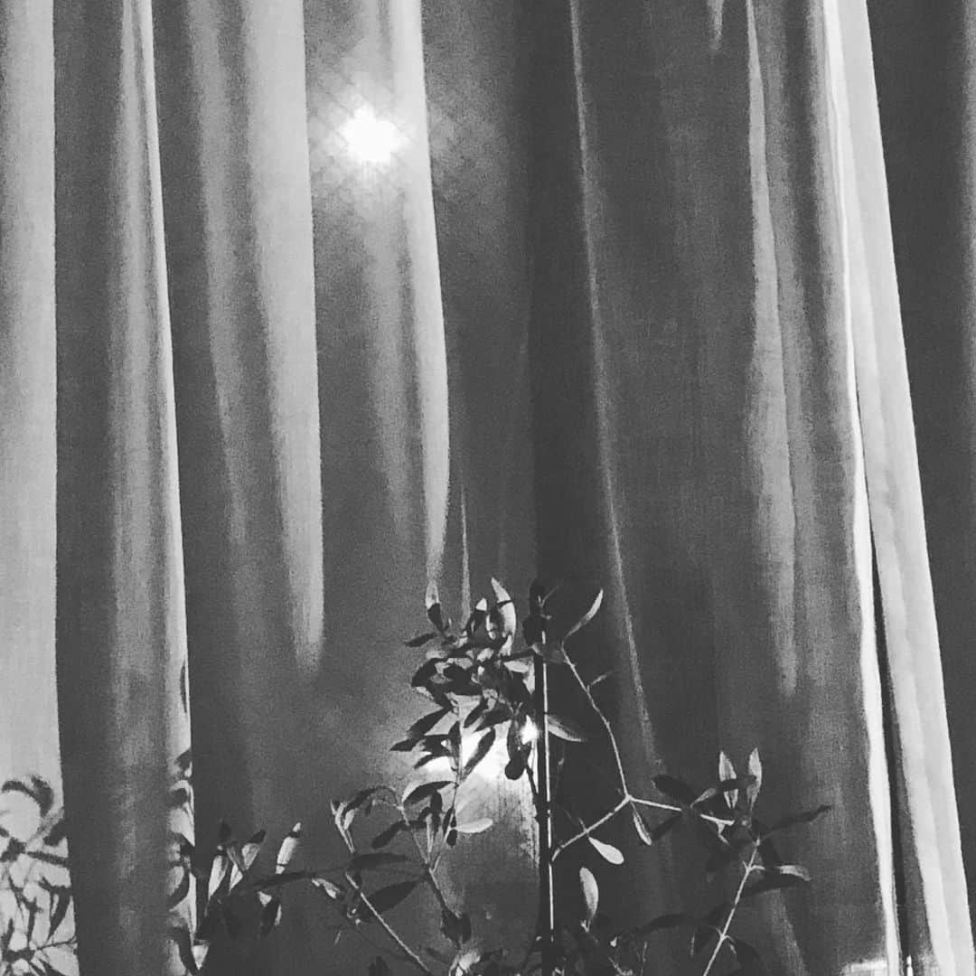 阿部洋子さんのインスタグラム写真 - (阿部洋子Instagram)「🌝 #満月   お部屋の中からでも明るいお月さま。  2枚目は #nofilter   #fullmoon   どおりで、 きのうもその前もやたらと眠かったわけだ。」8月4日 23時21分 - hirocoring