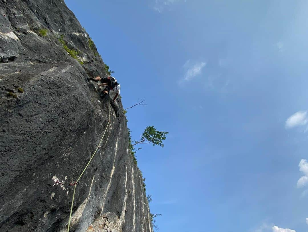 平山ユージさんのインスタグラム写真 - (平山ユージInstagram)「Peaceful Futago 🌈 Cool breeze flows. Climb all day long with cool crew🦥🌲 平和な二子🌈爽やかな風が流れ、爽やかな仲間と一日中登った😆✨✨ #localcrag #sleepmore #climbmore #driveless #mtfutago #ogano #oganoic #ローカルエリア #もっと寝て　#もっと登れ #二子山#近距離運転 #小鹿野　#小鹿野町観光大使 #oganotouristambassador #neverstopexploring」8月4日 23時26分 - yuji_hirayama_stonerider