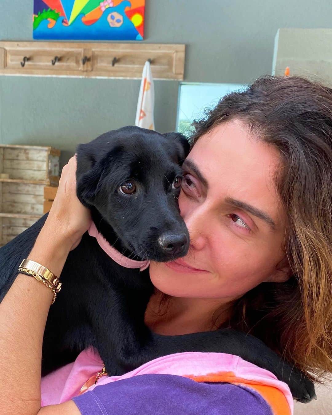 Giovanna Antonelliのインスタグラム：「Ôh! Coisinha tão bonitinha....#doglove 🐕」