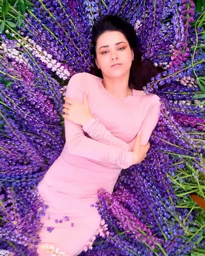 のインスタグラム：「Nature always gives me strength and inspiration 🥰 So this time we got out on a new cool shooting on the lupine fields 🌸 Expect new photos soon, and now a purple story 💜 with my favorite purple bangster berry @BangEnergy  Follow the inventor of Bang: @BangEnergy.CEO  #EnergyDrink #BangEnergy」