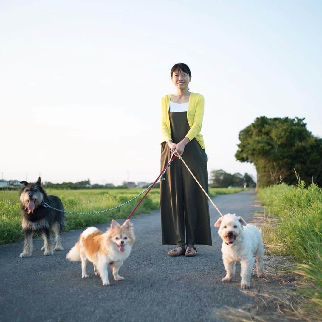 甲斐麻美のインスタグラム