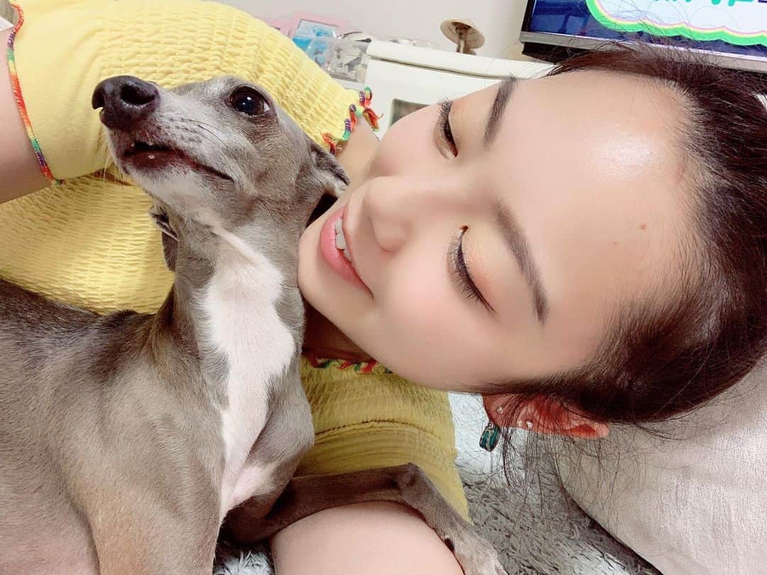 志村玲那さんのインスタグラム写真 - (志村玲那Instagram)「#いちゃいちゃ💜 #仲良し！ #癒しでしかない！ #おやすみ  #イタグレ　#italiangreyhound  #ＩＧ #cute #愛犬　#dog #癒し」8月5日 0時46分 - rena_shimura