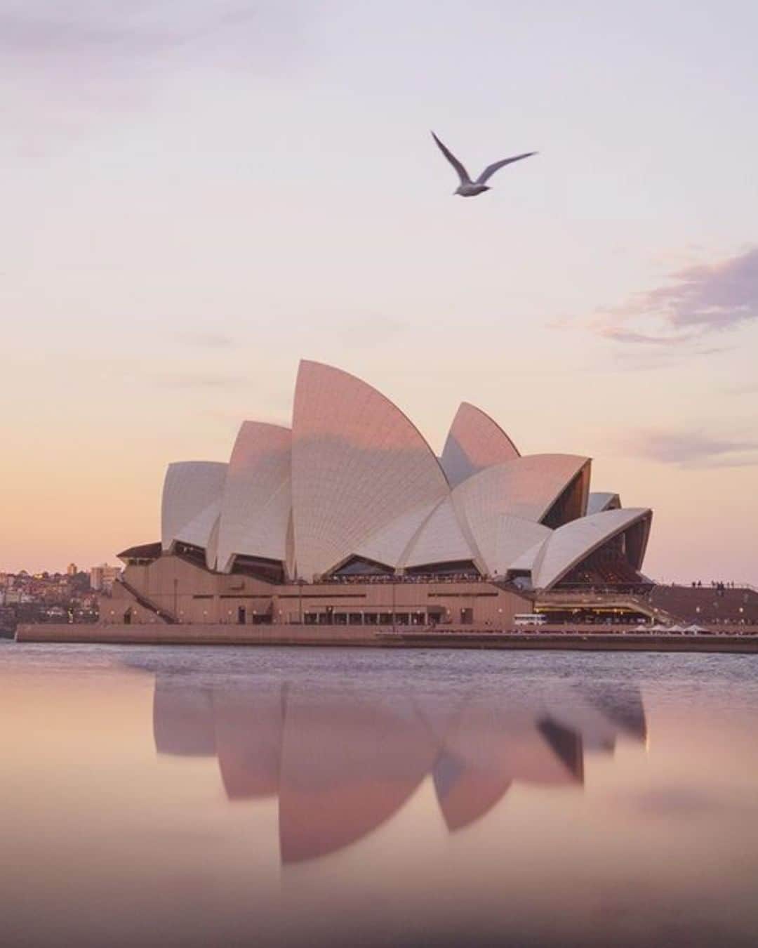 ロンドンフォグさんのインスタグラム写真 - (ロンドンフォグInstagram)「Postcard perfect. #Sydney #TravelTuesday」8月5日 0時50分 - londonfogbrand