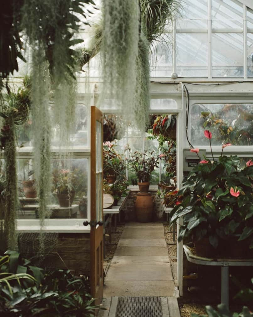 ボリオリさんのインスタグラム写真 - (ボリオリInstagram)「.⁣ @Steffan⁣ Greenhouse⁣ Captured by JuliaYusupov⁣ Cornwall, UK⁣ .⁣ .⁣ #steffan #cornwall #cornovaglia #garden #gardendesign #interiors #interiorstyle」8月5日 0時50分 - boglioliofficial