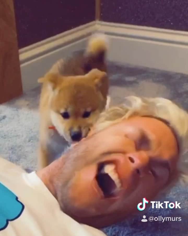 オリー・マーズのインスタグラム：「No one told me pups have razor sharp teeth 😩👍🏻🤪🥴」