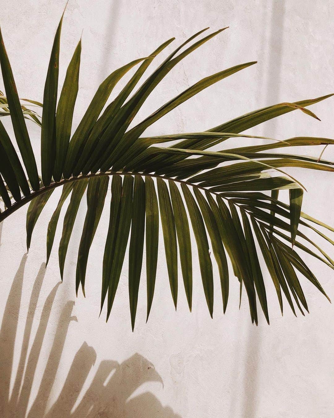 ジュリー・サリニャーナのインスタグラム：「always gets me on vacay mode. 🌴 what gets you guys on vacay mode? Share!」
