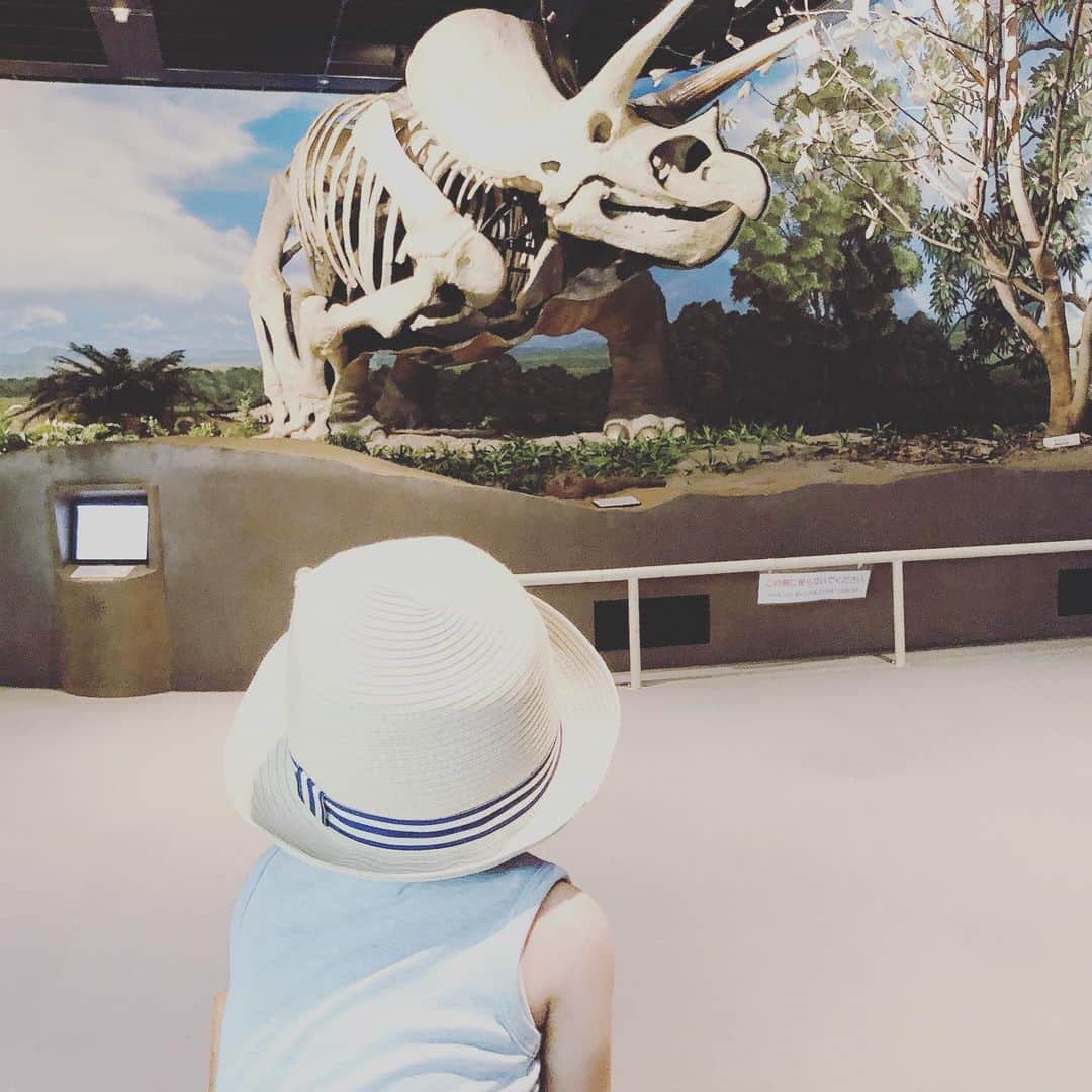 本田朋子さんのインスタグラム写真 - (本田朋子Instagram)「真夏日の昨日は、県立自然科学館で涼しく遊んできました。 初めての場所に息子は大興奮。 恐竜にも興味津々。  #新潟 #子供の遊び場 #県立自然科学館  #今度は #プラネタリウム #観に行きたいな #探検隊スタイル #hat&tops #h&m #pants #zara #onepiece  #studios #bag #bellmer」8月5日 7時34分 - tomoko_honda_official_phonics