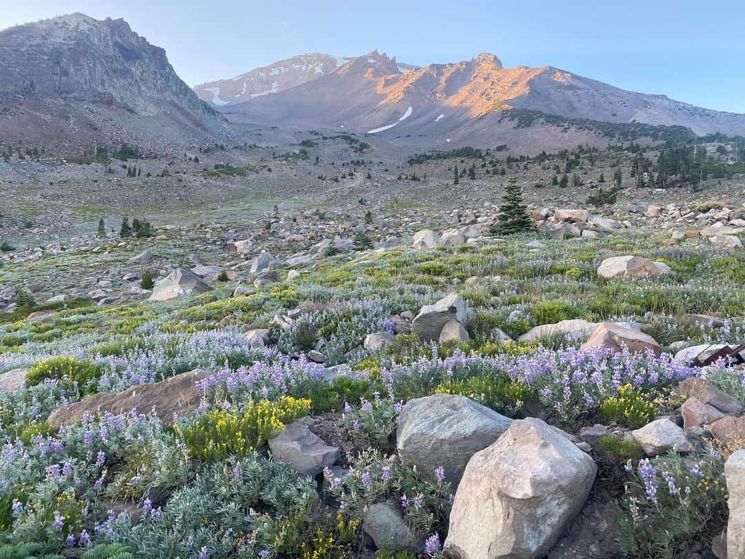 リリ・ラインハルトさんのインスタグラム写真 - (リリ・ラインハルトInstagram)「Took a solo trip to Mount Shasta for some mental clarity and healing. Very grateful to have the opportunity to travel to such a sacred place and reconnect with myself and God ☀️ hope all of you are using this time to take care of yourselves and reflect— it’s vital.」8月5日 2時18分 - lilireinhart