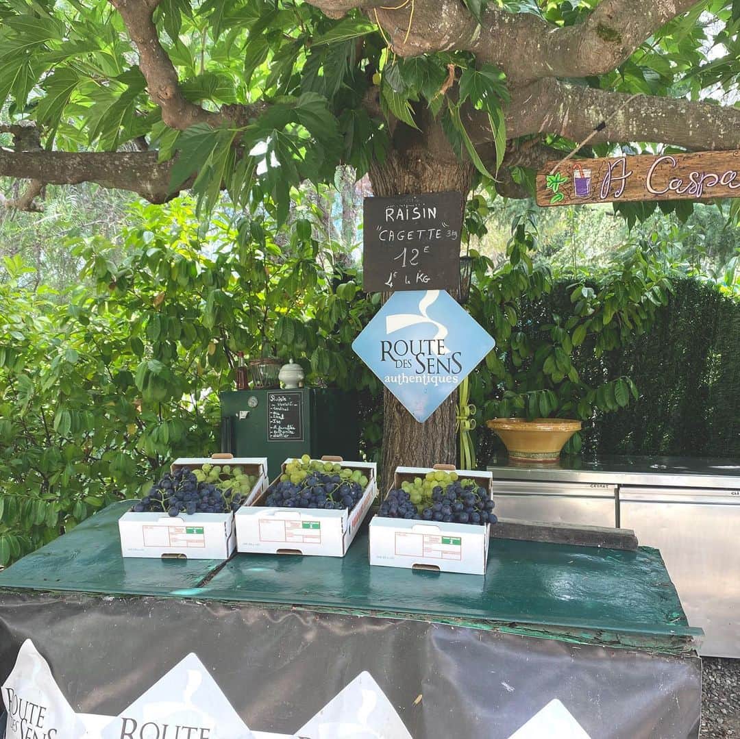 アデルさんのインスタグラム写真 - (アデルInstagram)「美味しいビオのぶどうを買いに、山を下った本日。 美しいぶどう畑に、蔦が絡まる家が素敵。大きな木の下のお店がなんとも可愛らしいわね。 #corse #vacances #corsica #コルシカ #リストリ家の夏休み」8月5日 2時56分 - ader_eri